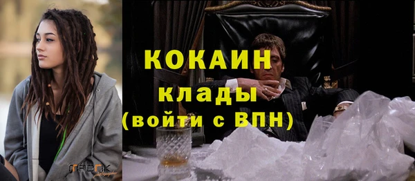 шишки Абаза
