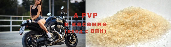 шишки Абаза