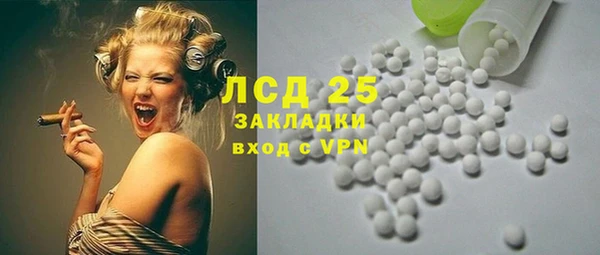 шишки Абаза