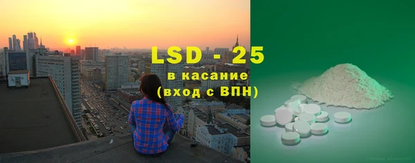 шишки Абаза