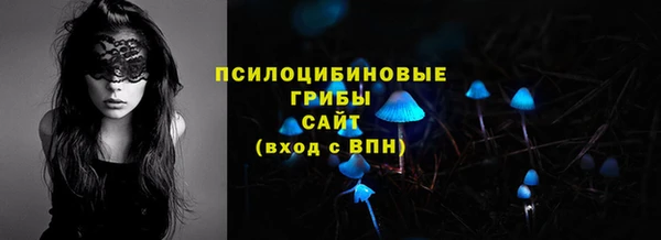 СК Абинск