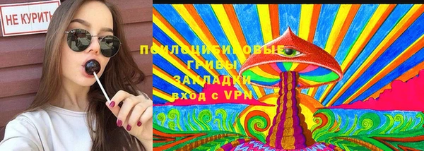 СК Абинск
