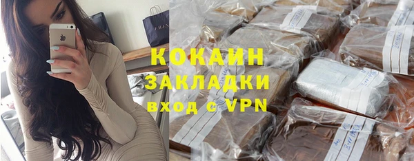 шишки Абаза