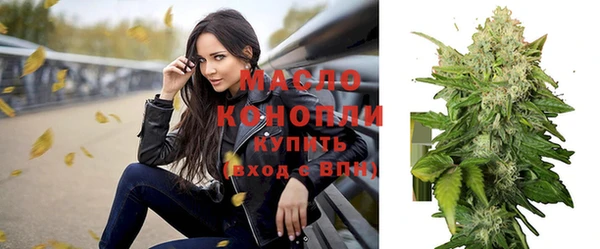 шишки Абаза