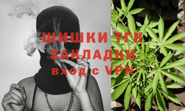 шишки Абаза