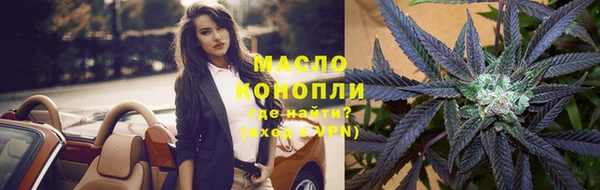 шишки Абаза
