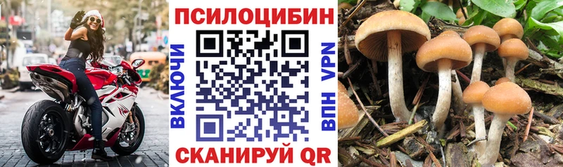 Галлюциногенные грибы GOLDEN TEACHER  Тырныауз 