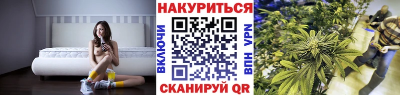 купить   omg вход  Бошки марихуана семена  Тырныауз 